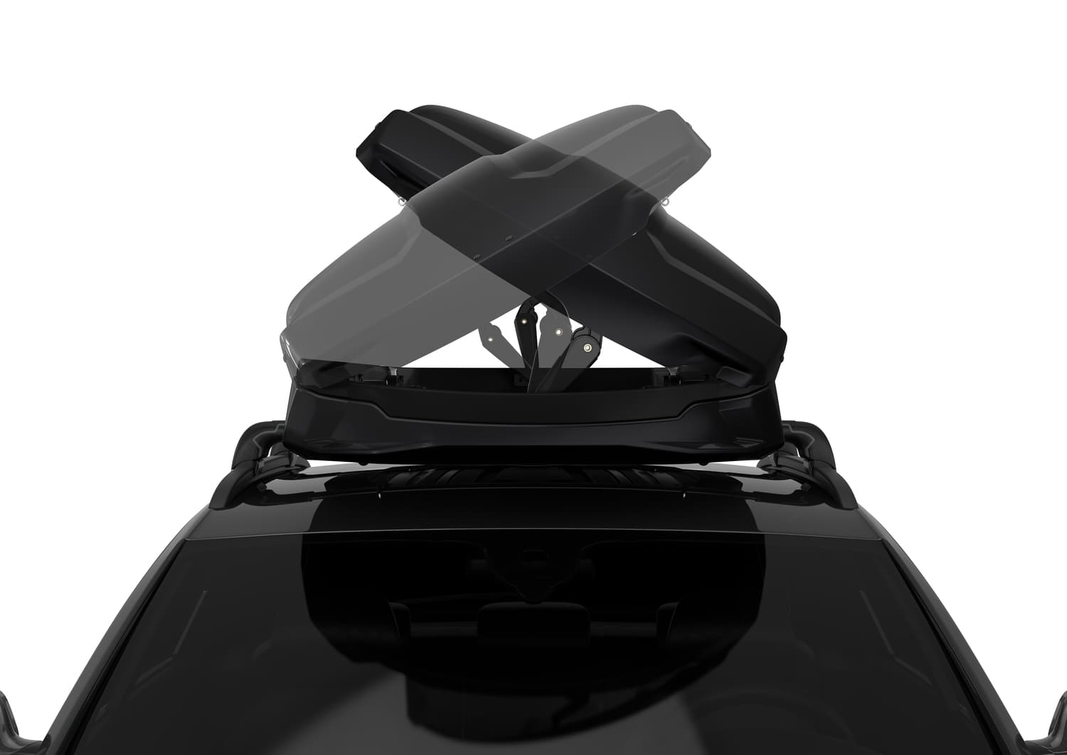 Vector