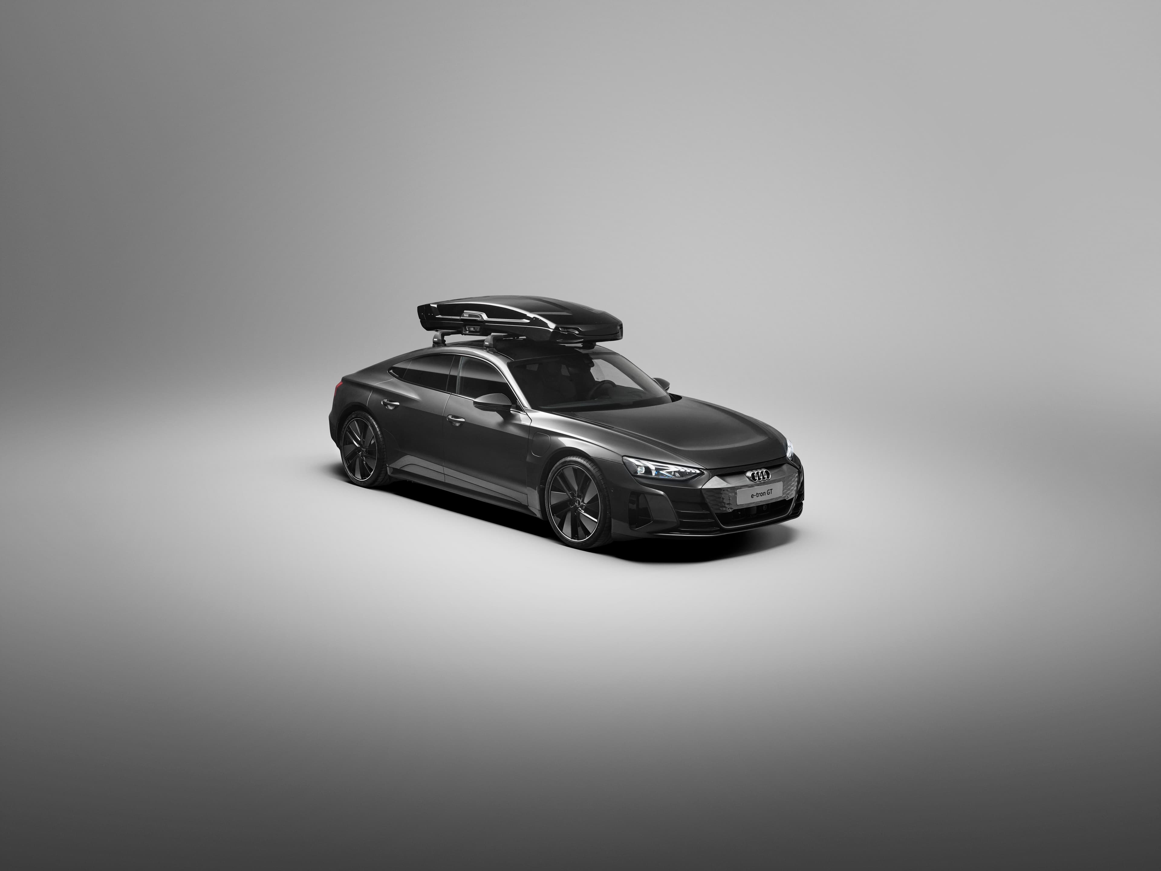 Vector