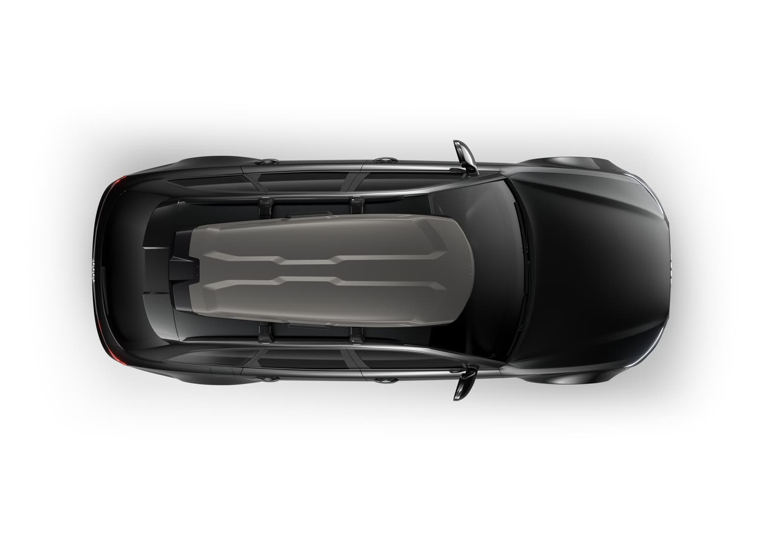 Vector