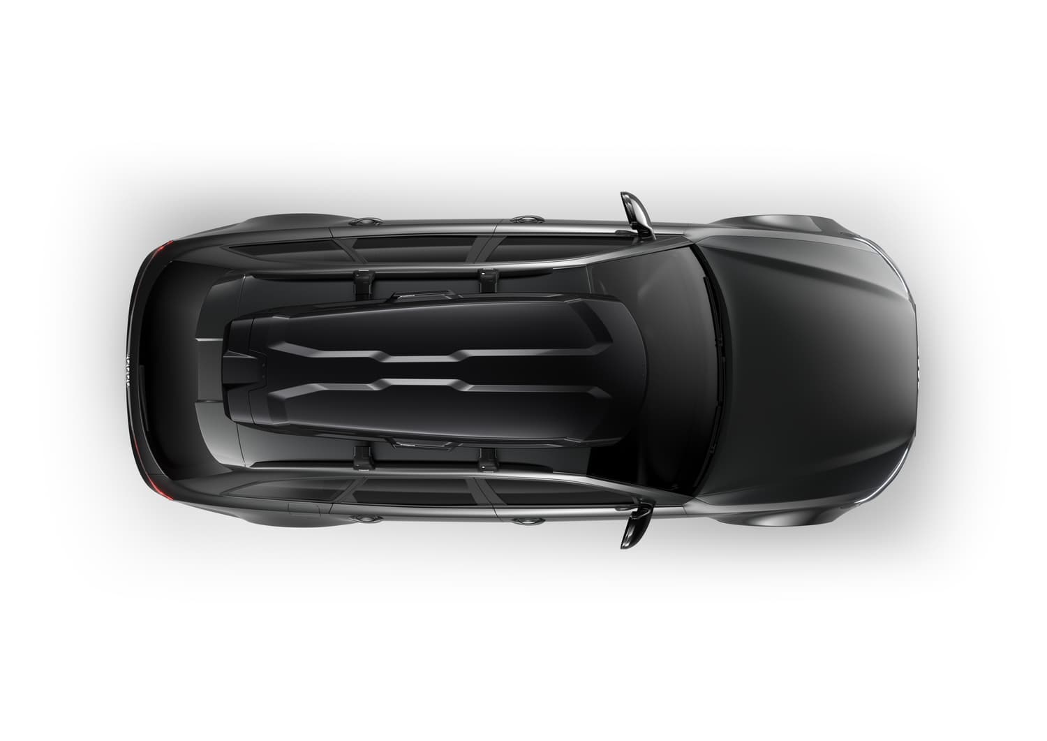 Vector